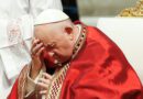 El reclamo del papa Francisco: “¡Cuántas guerras, parece increíble el mal que el hombre puede llegar a realizar!”