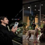 Perro con el localizador GPS Mova SureTrack Pro.