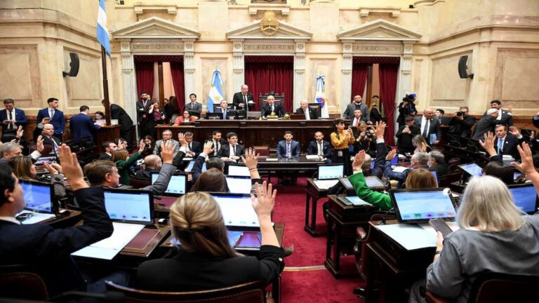 Sesión del Senado durante el tratamiento de la ley de propiedad privada.