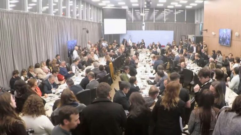 Documentación y proyectos de ley en debate parlamentario